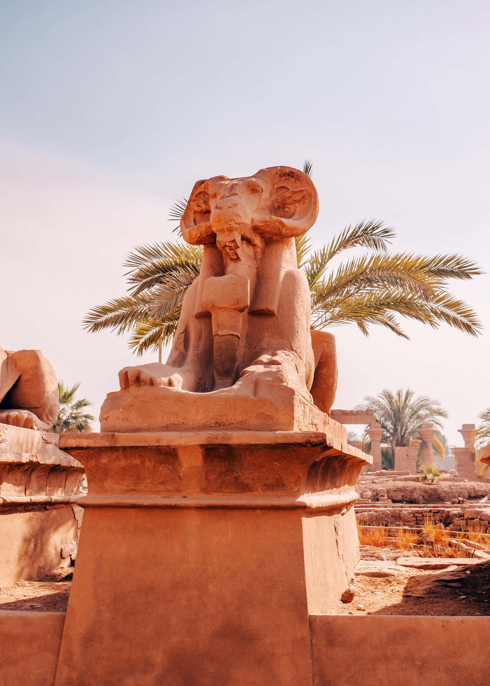 Egyptian Museum, sphinx statue, elephant features, Full HD Phone Wallpaper