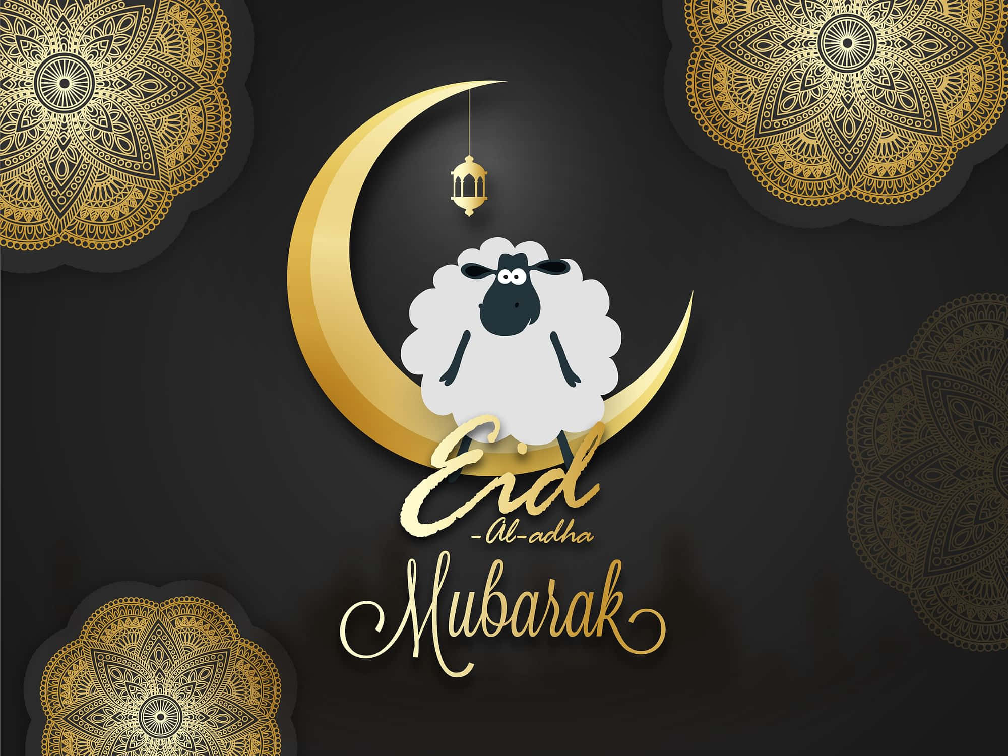 Eid Al Adha, golden crescent moon, cartoon sheep, Full HD Desktop Wallpaper