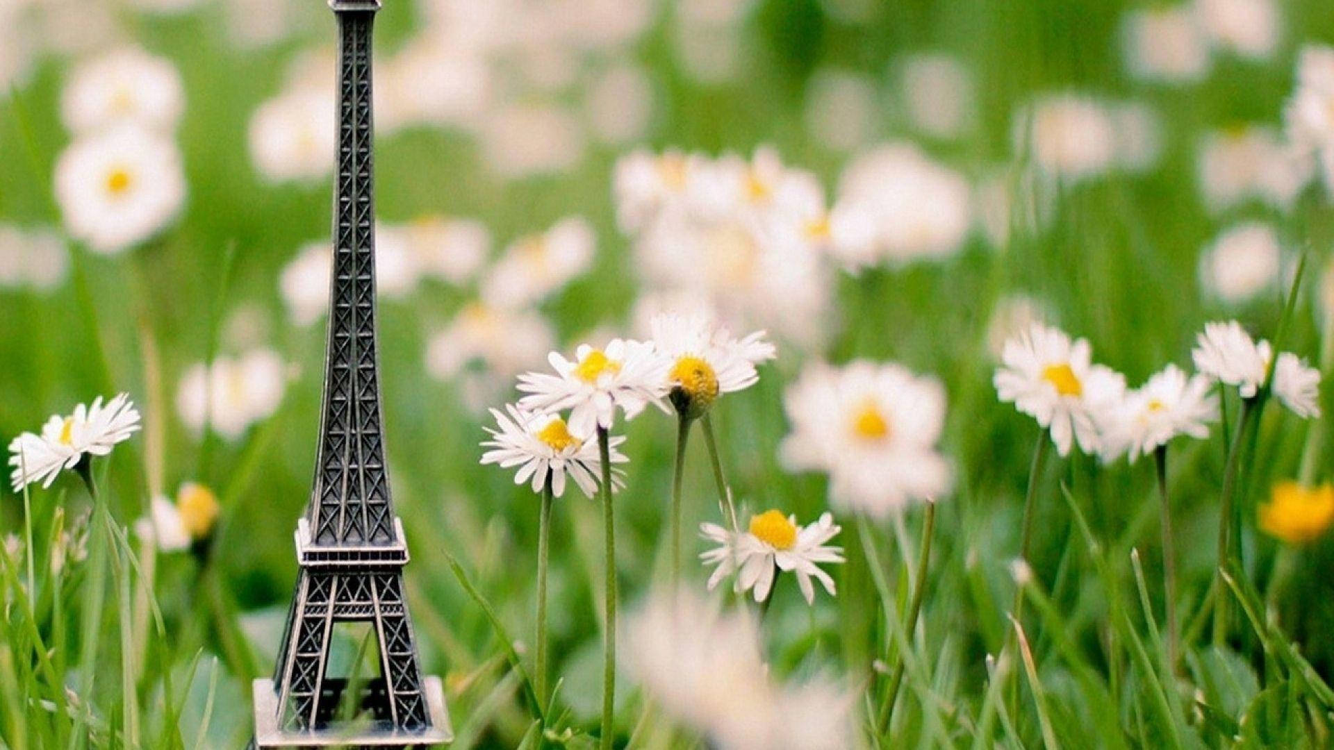Eiffel Tower, spring, daisies, Full HD Desktop Wallpaper