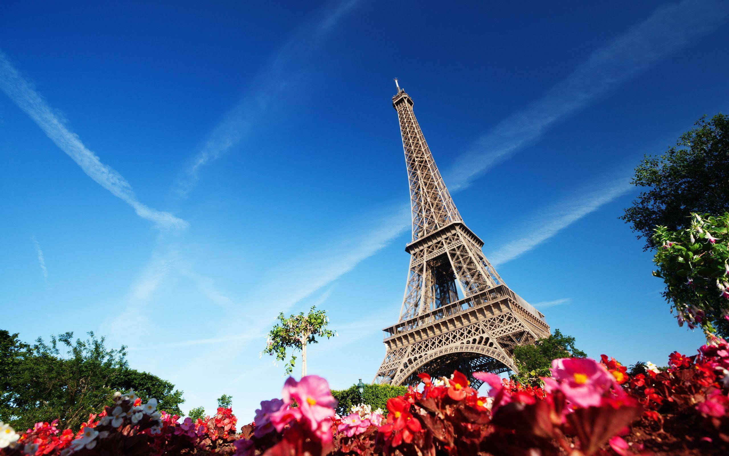 Eiffel Tower, red flowers, clear blue sky, 2K Desktop Wallpaper