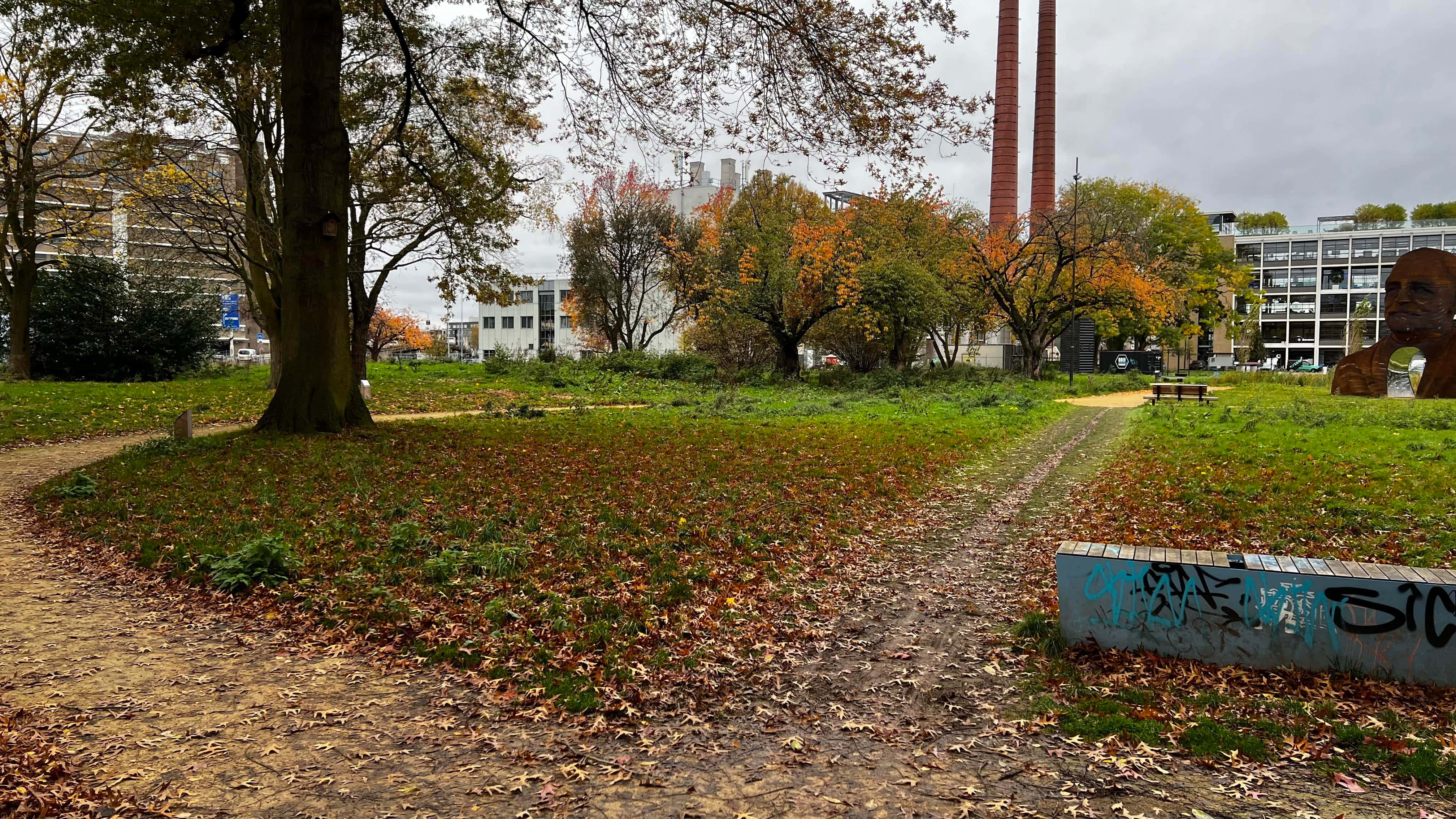 Eindhoven, autumn park path, fallen leaves, 4K Desktop Wallpaper