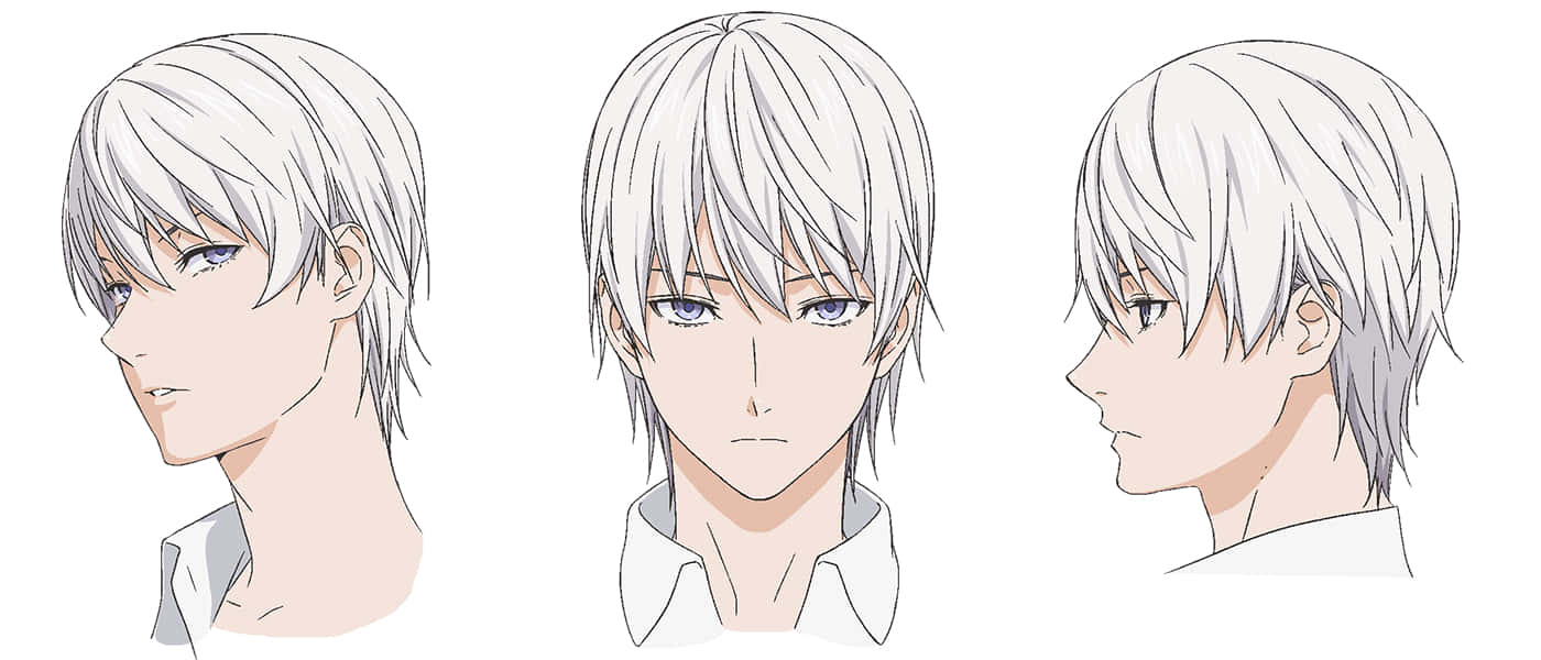 Eishi Tsukasa, silver hair, blue eyes, HD Desktop Wallpaper