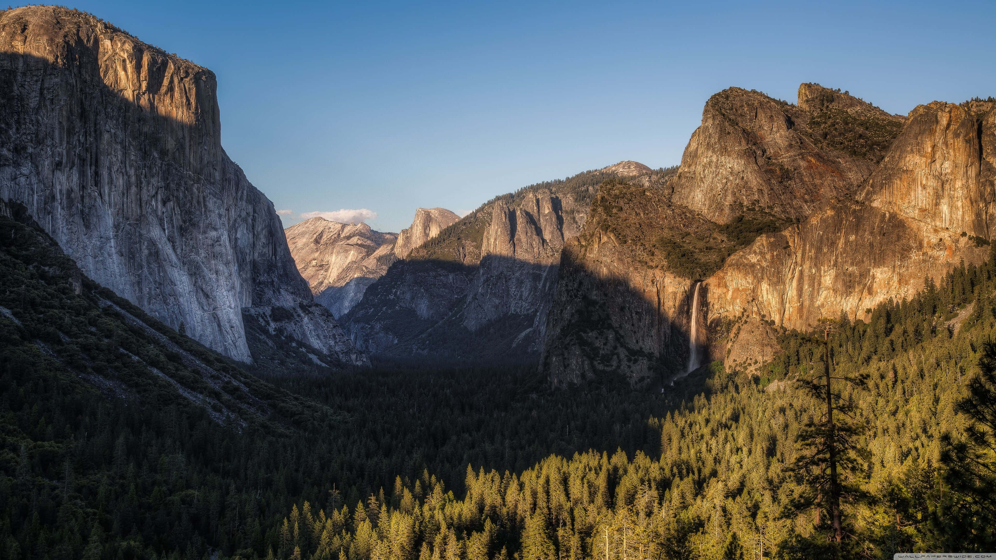 El Capitan, granite cliffs, pine forest, 4K Desktop Wallpaper