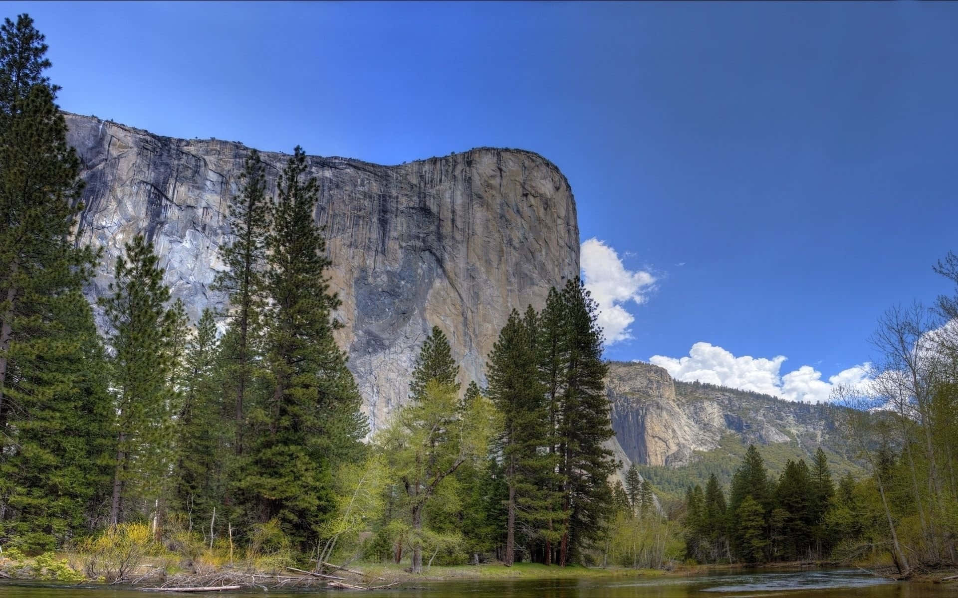 El Capitan, granite cliff, pine trees, Full HD Desktop Wallpaper