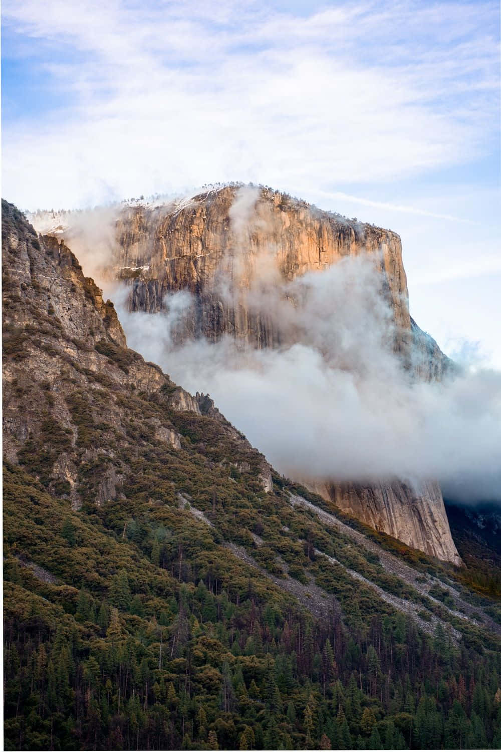 El Capitan, granite cliff, forested valley, HD Phone Wallpaper