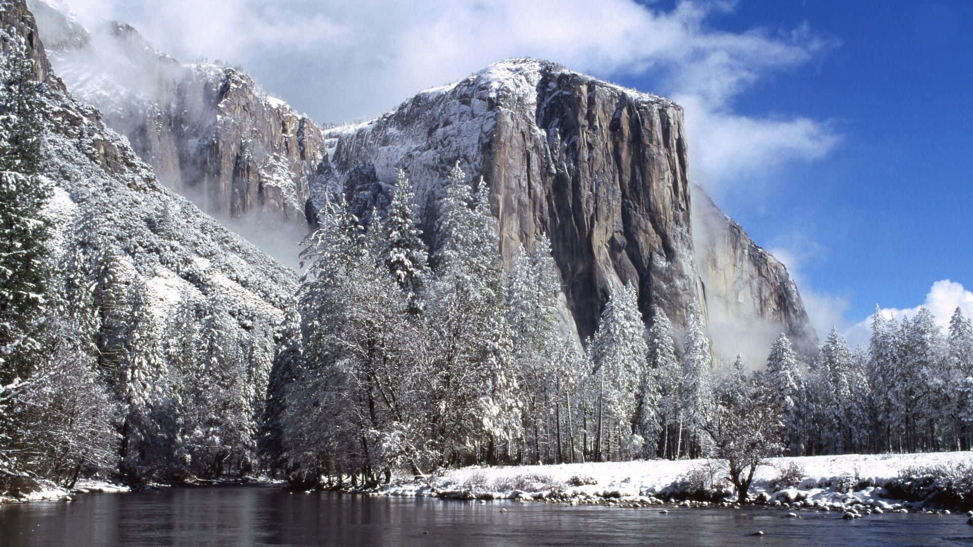 El Capitan, granite cliffs, evergreen trees, Full HD Desktop Wallpaper