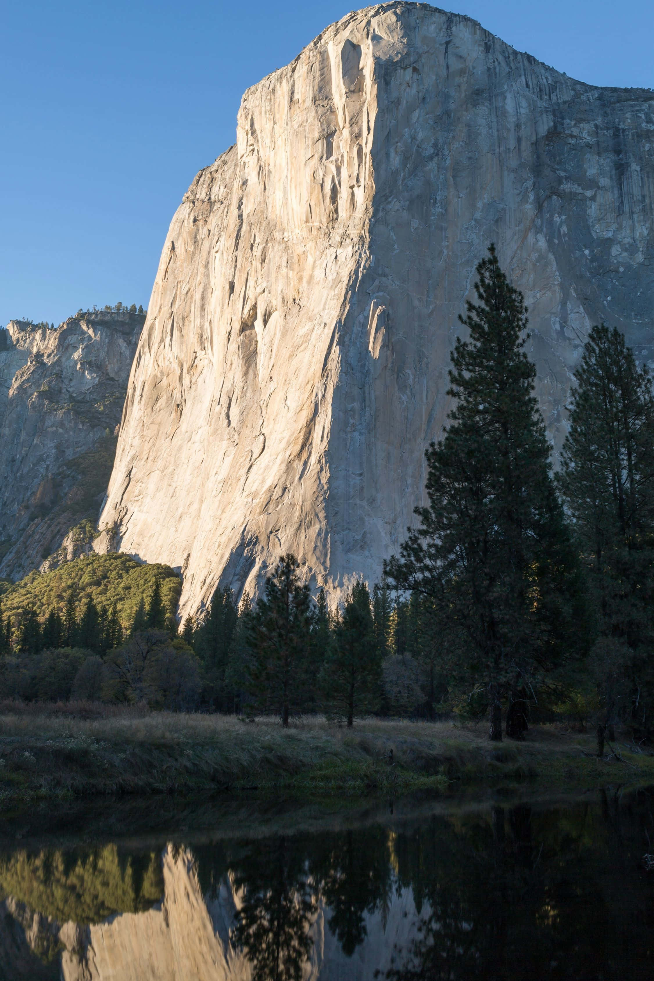 El Capitan, granite cliff face, golden morning light, 2K Phone Wallpaper