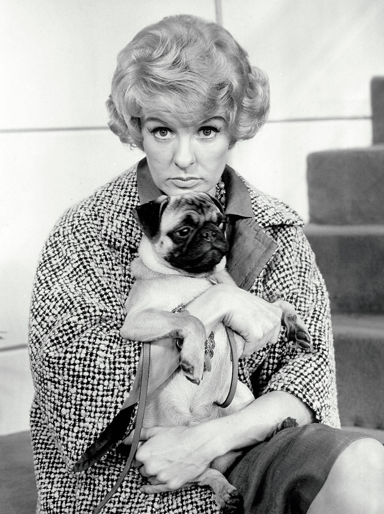 Elaine Stritch, houndstooth coat, pug puppy, HD Phone Wallpaper