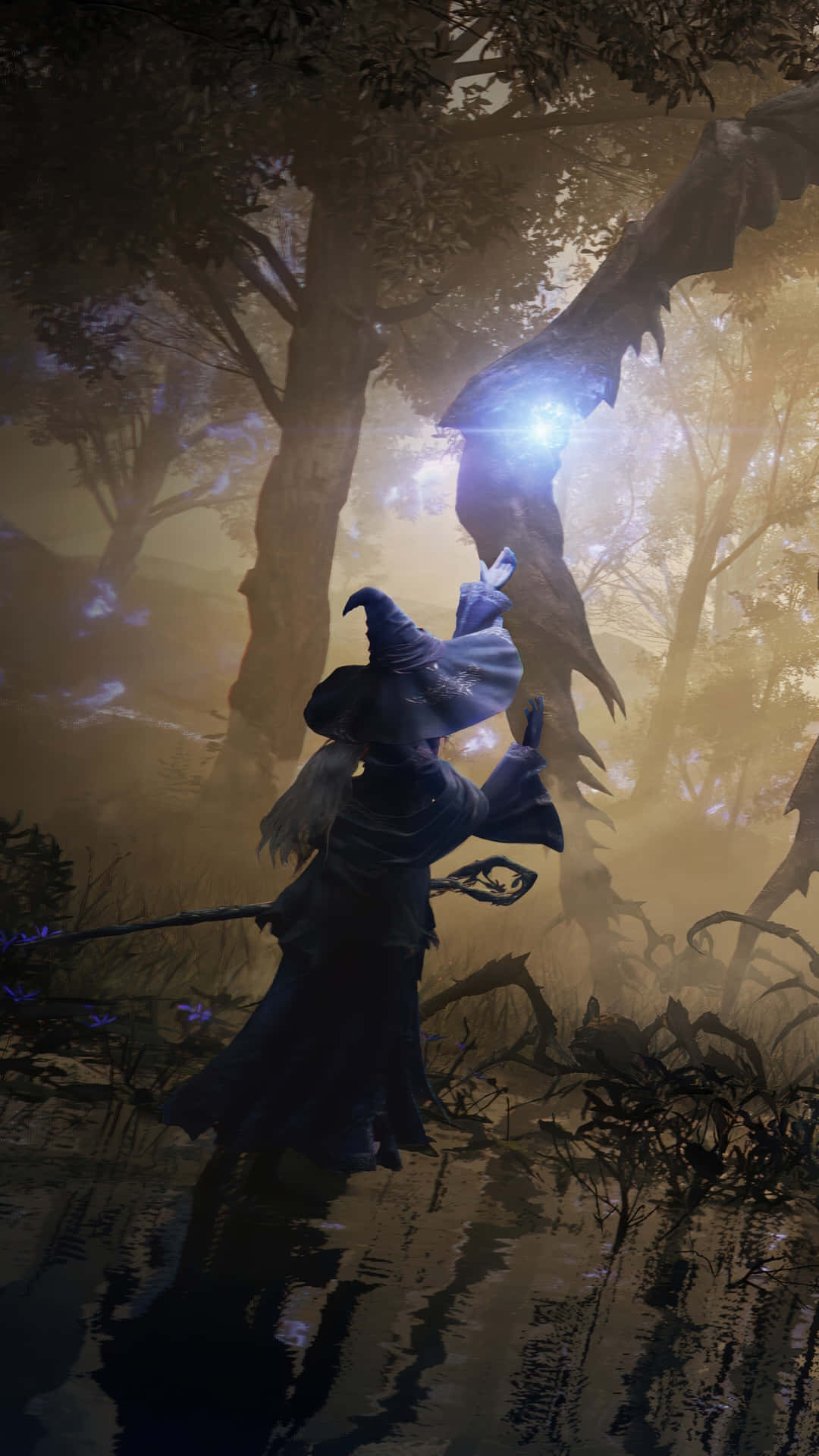 Elden Ring Nightreign, sorcery, dark-robed wizard, Full HD Phone Wallpaper