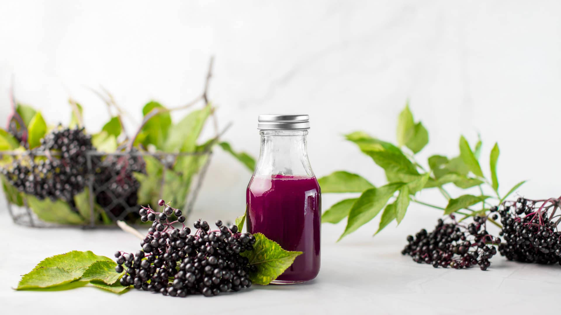 elderberry, deep purple elderberry syrup, black elderberries, Full HD Desktop Wallpaper