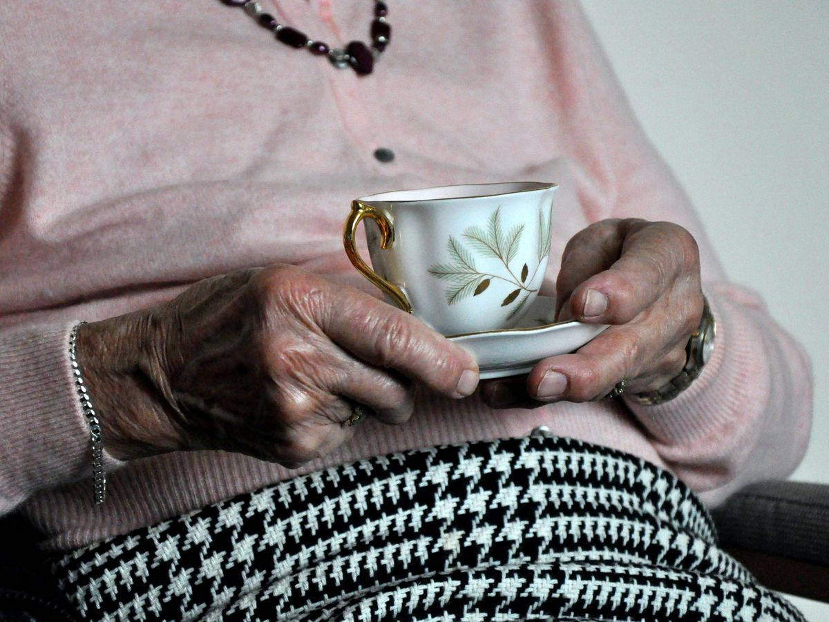 elderly woman, teacup, leaf pattern, SD Desktop Wallpaper
