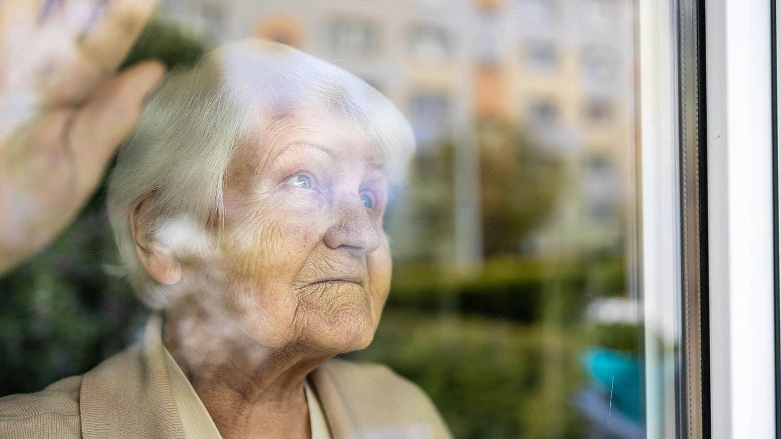 elderly woman, white hair, window, HD Desktop Wallpaper