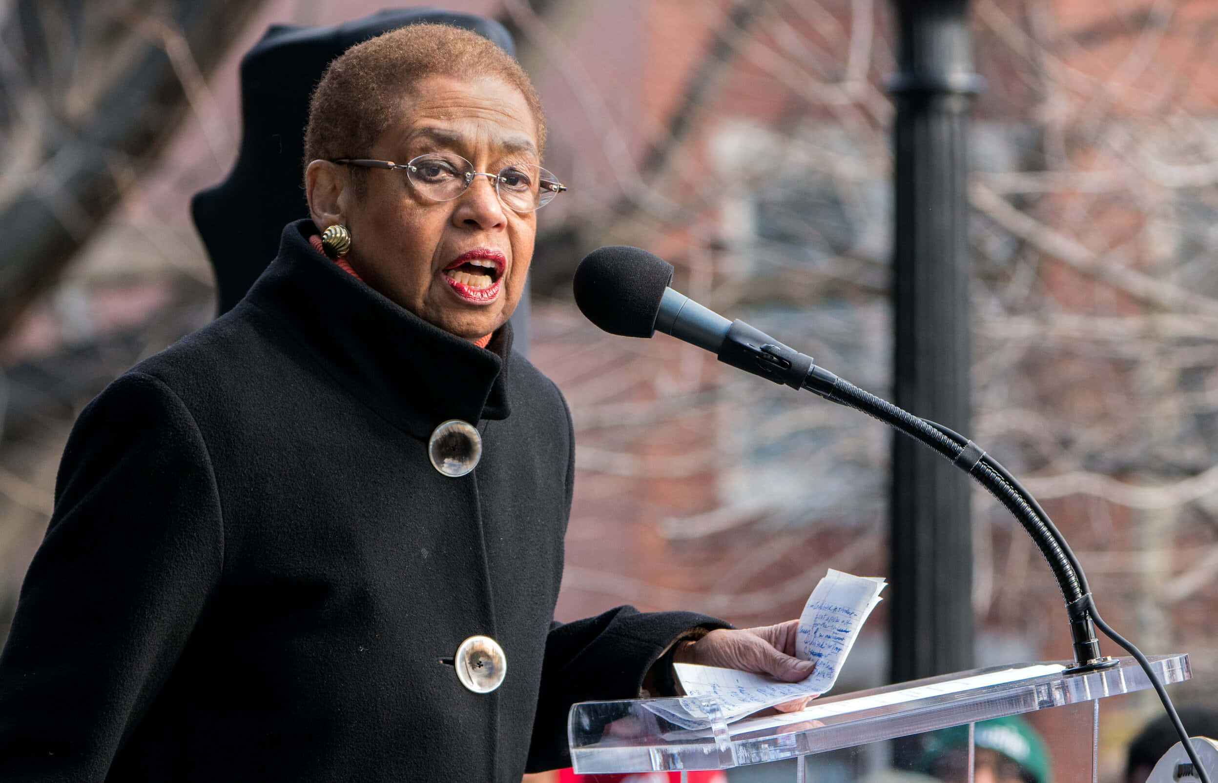 Eleanor Holmes Norton, black coat, microphone, Full HD Desktop Wallpaper