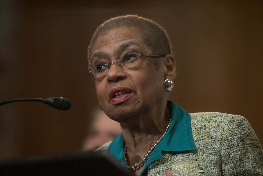 Eleanor Holmes Norton, teal collar, textured blazer, SD Desktop Wallpaper