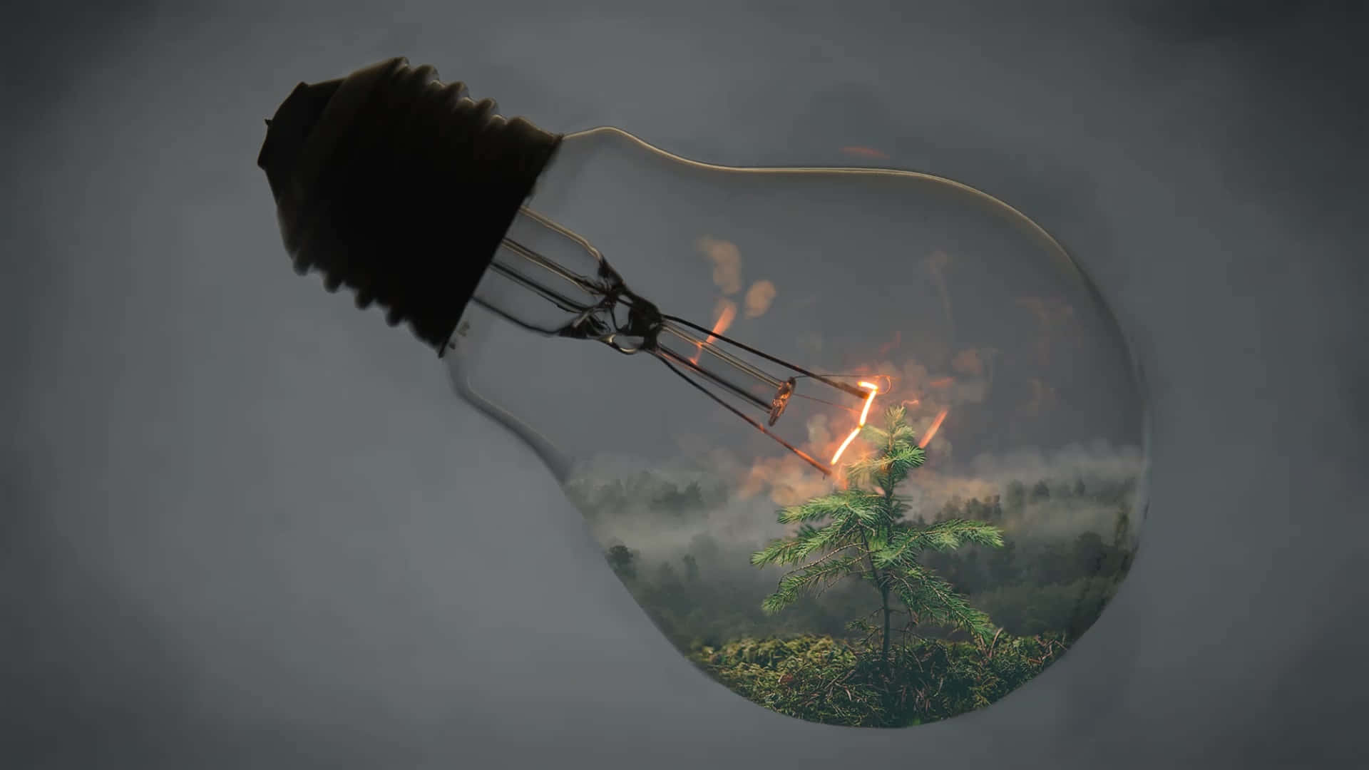 lightbulb, miniature forest scene, pine tree, Full HD Desktop Wallpaper
