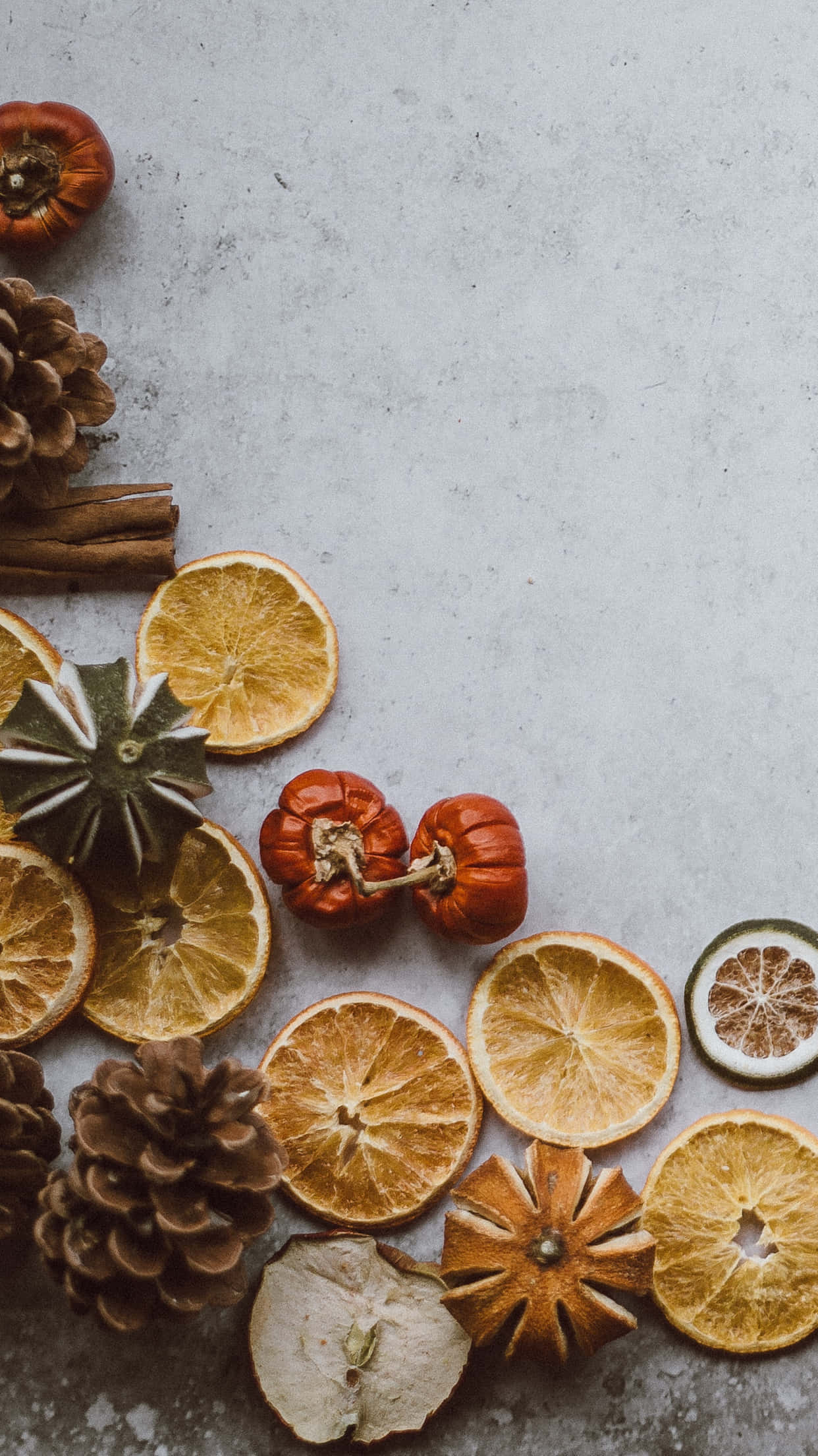 elegant aesthetic, textured gray surface, dried citrus slices, Full HD Phone Wallpaper