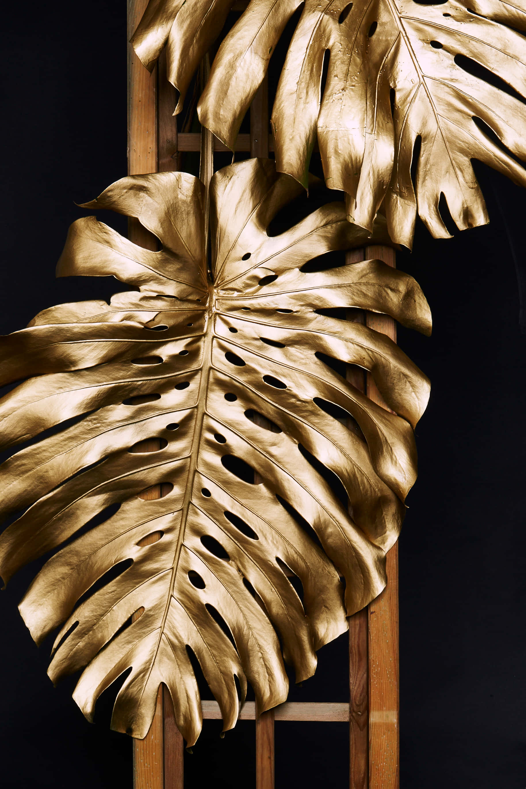 golden monstera leaves, dramatic veins, wooden ladder, 2K Phone Wallpaper