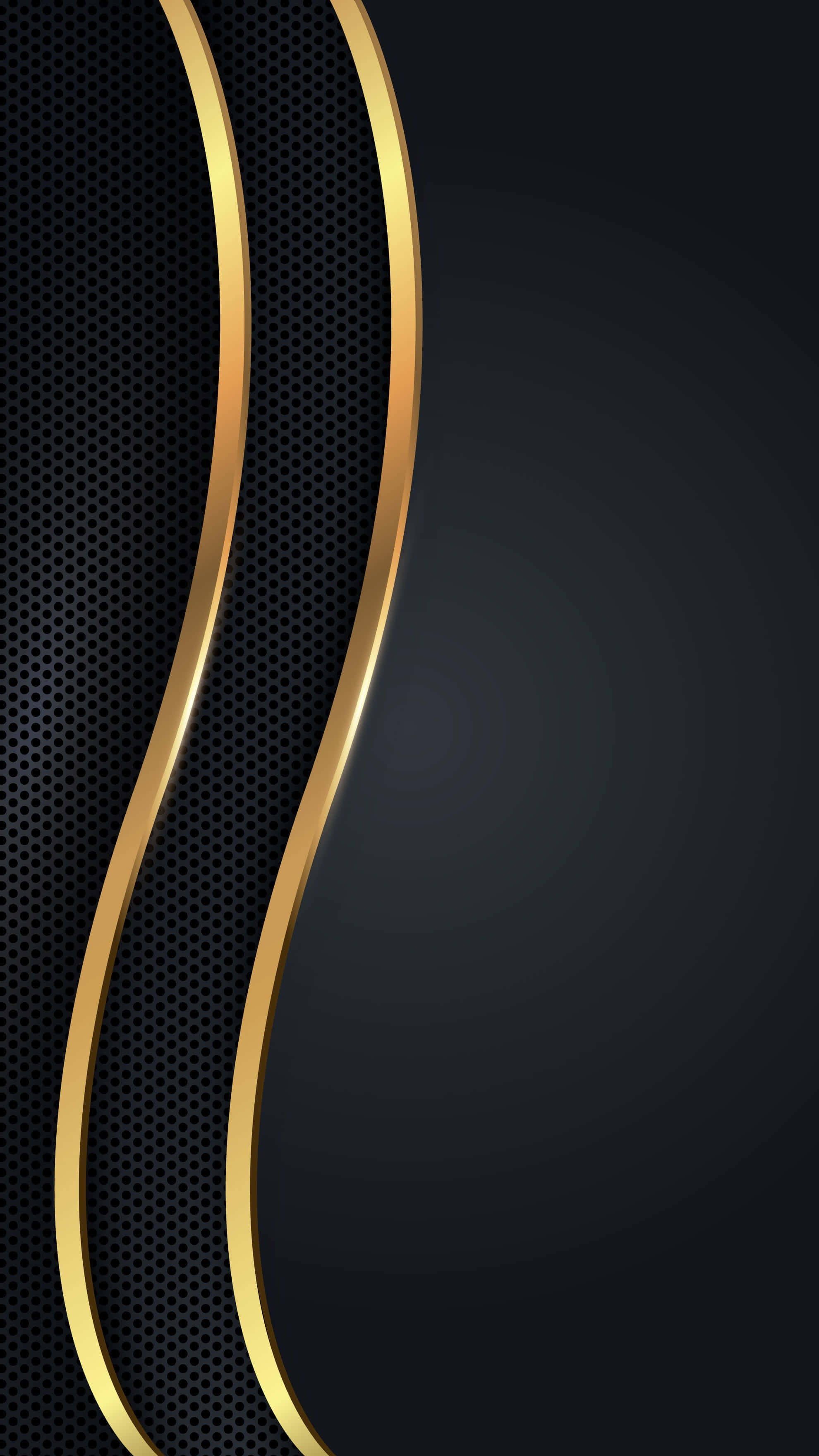 Black Gold Line, golden curves, textured black perforated background, 2K Phone Wallpaper