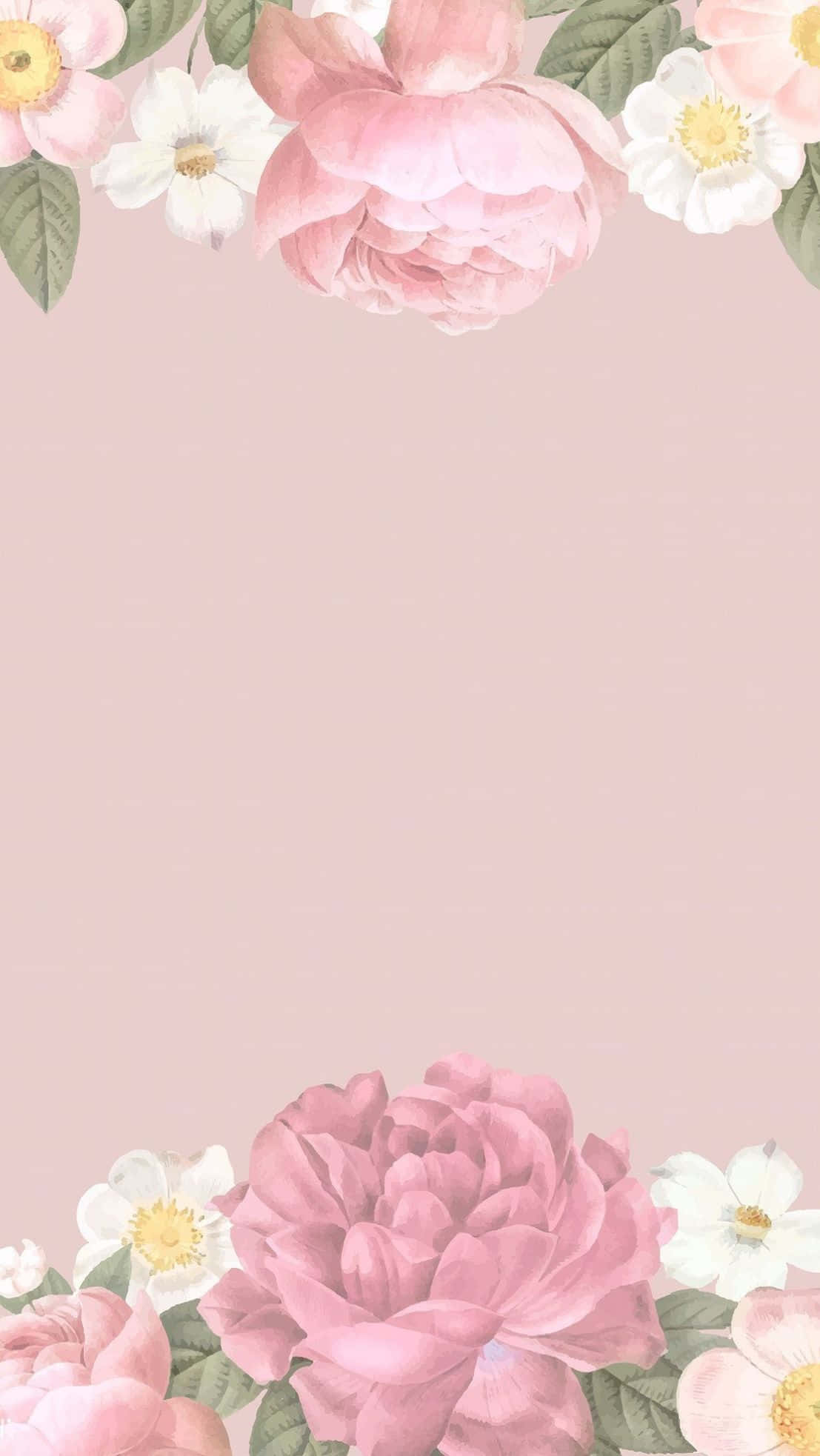 elegant floral, soft pink, white flowers, Full HD Phone Wallpaper
