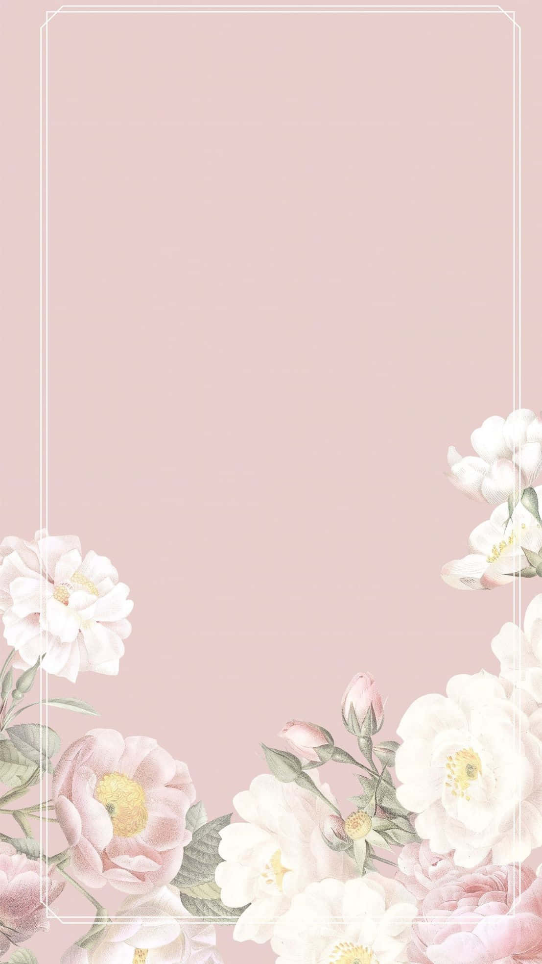 Elegant Floral, soft pink, delicate white and blush peonies, Full HD Phone Wallpaper