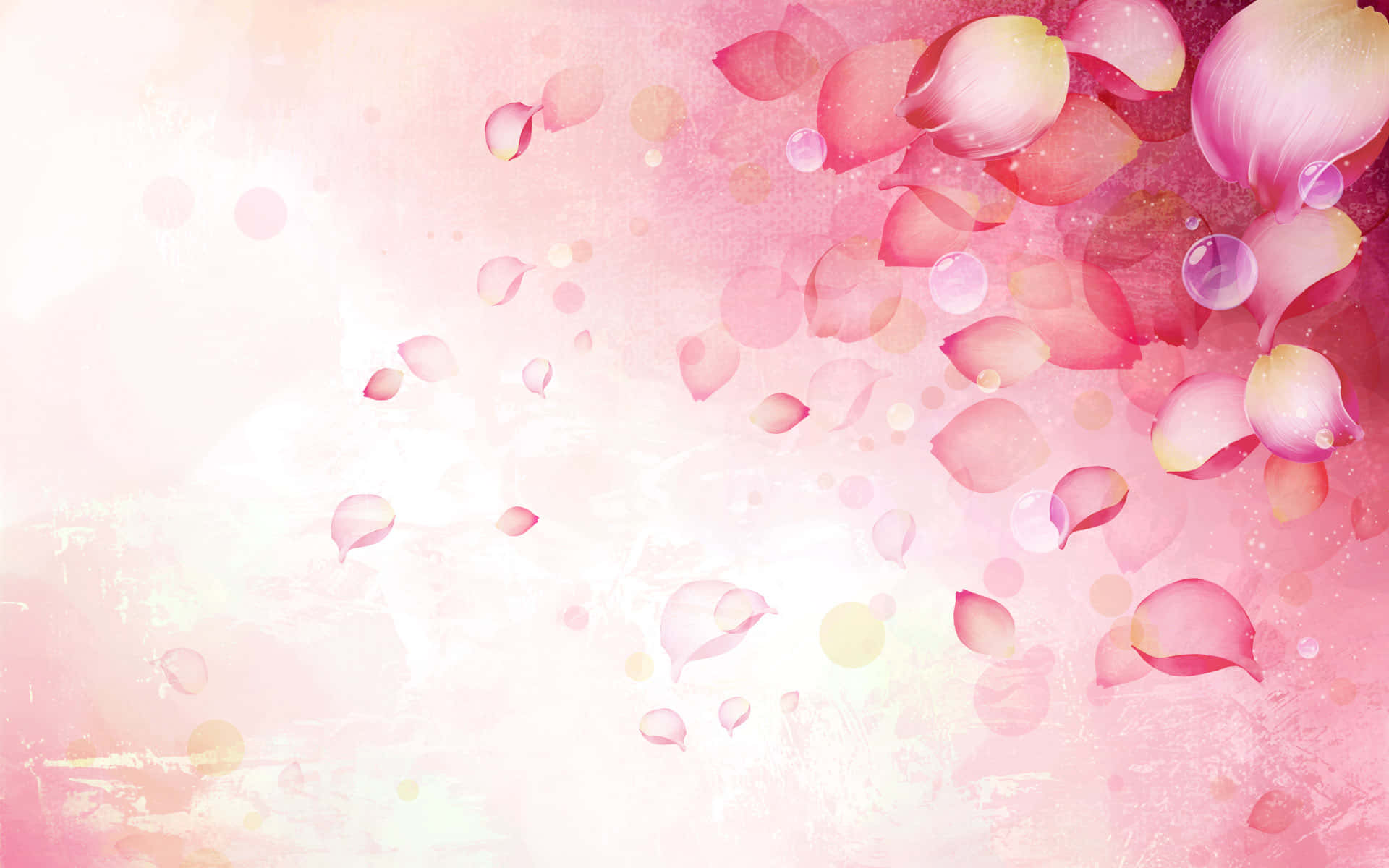 Elegant Floral, soft pink rose petals, watercolor gradient background, Full HD Desktop Wallpaper