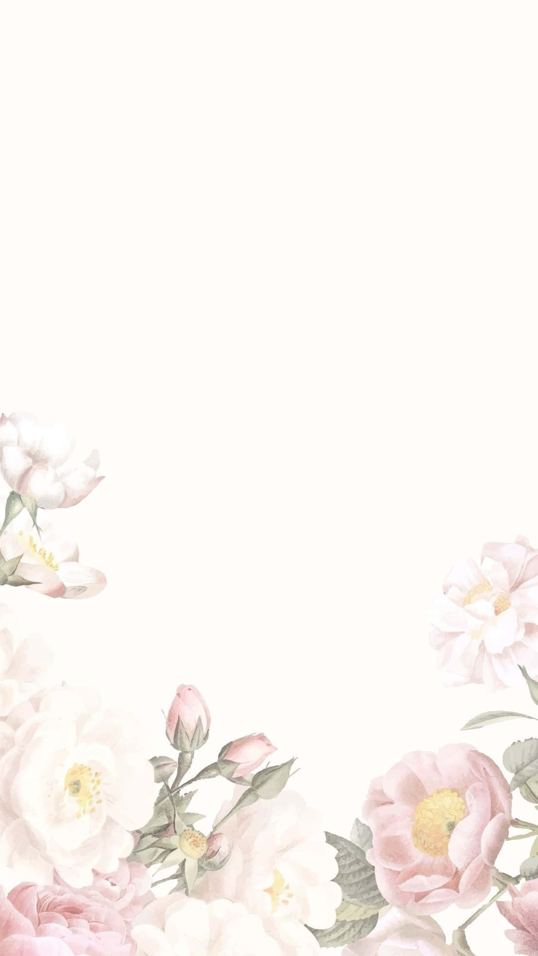 elegant floral, pastel pink, white flowers, Full HD Phone Wallpaper