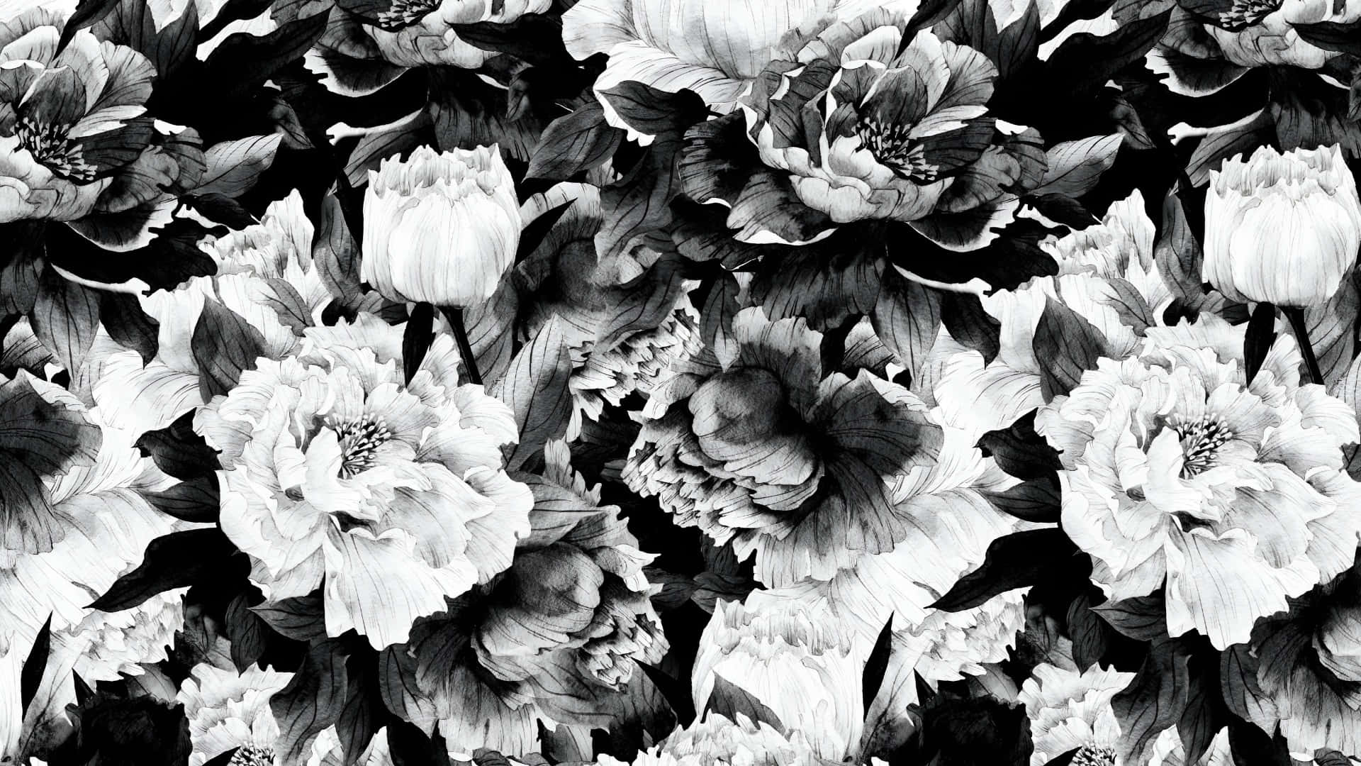 black and white floral elegance, monochrome wallpaper, densely layered peonies, Full HD Desktop Wallpaper