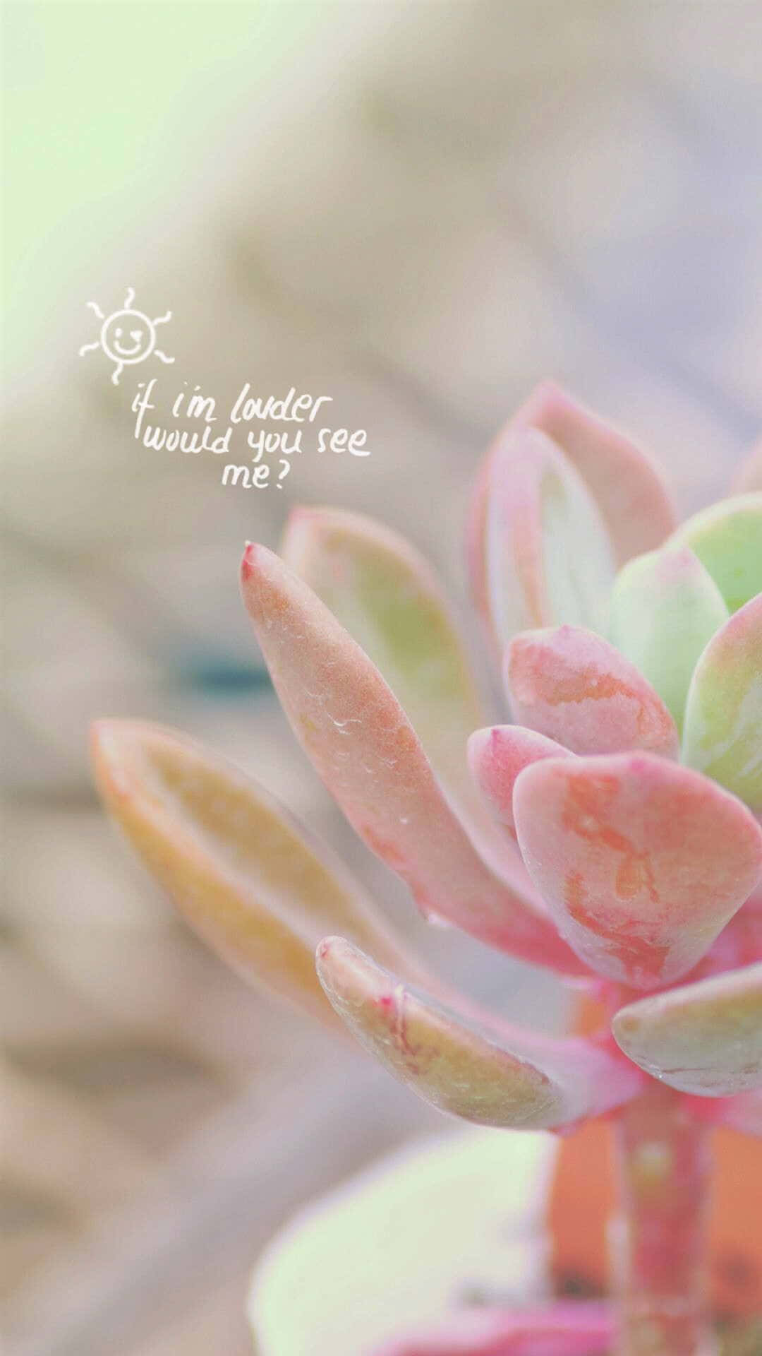 Echeveria Flowering Plant, pink and green succulent, soft blurred background, Full HD Phone Wallpaper
