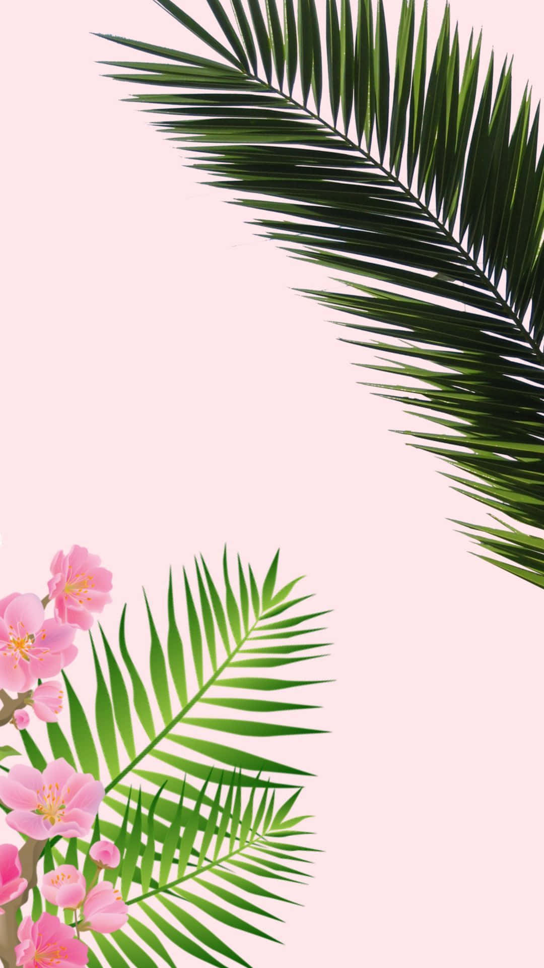 Elegant iPhone, soft pink background, tropical palm leaves, Full HD Phone Wallpaper
