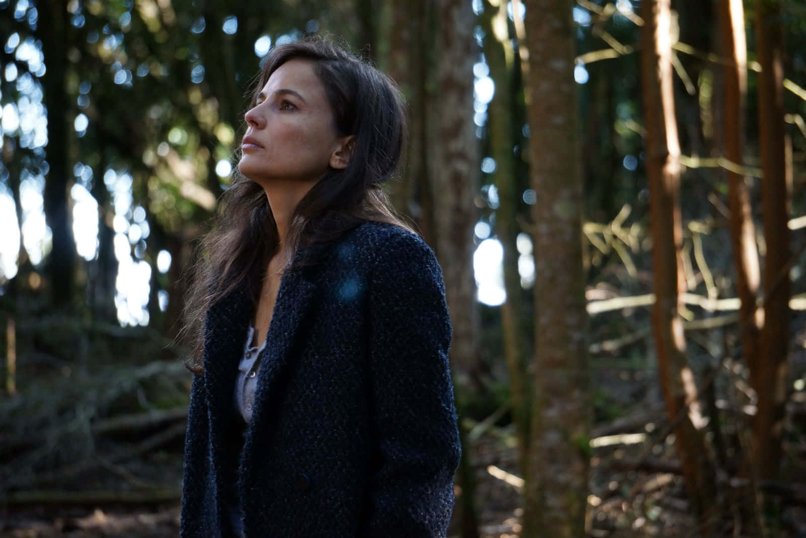 Elena Anaya, dark coat, sunlit forest, HD Desktop Wallpaper