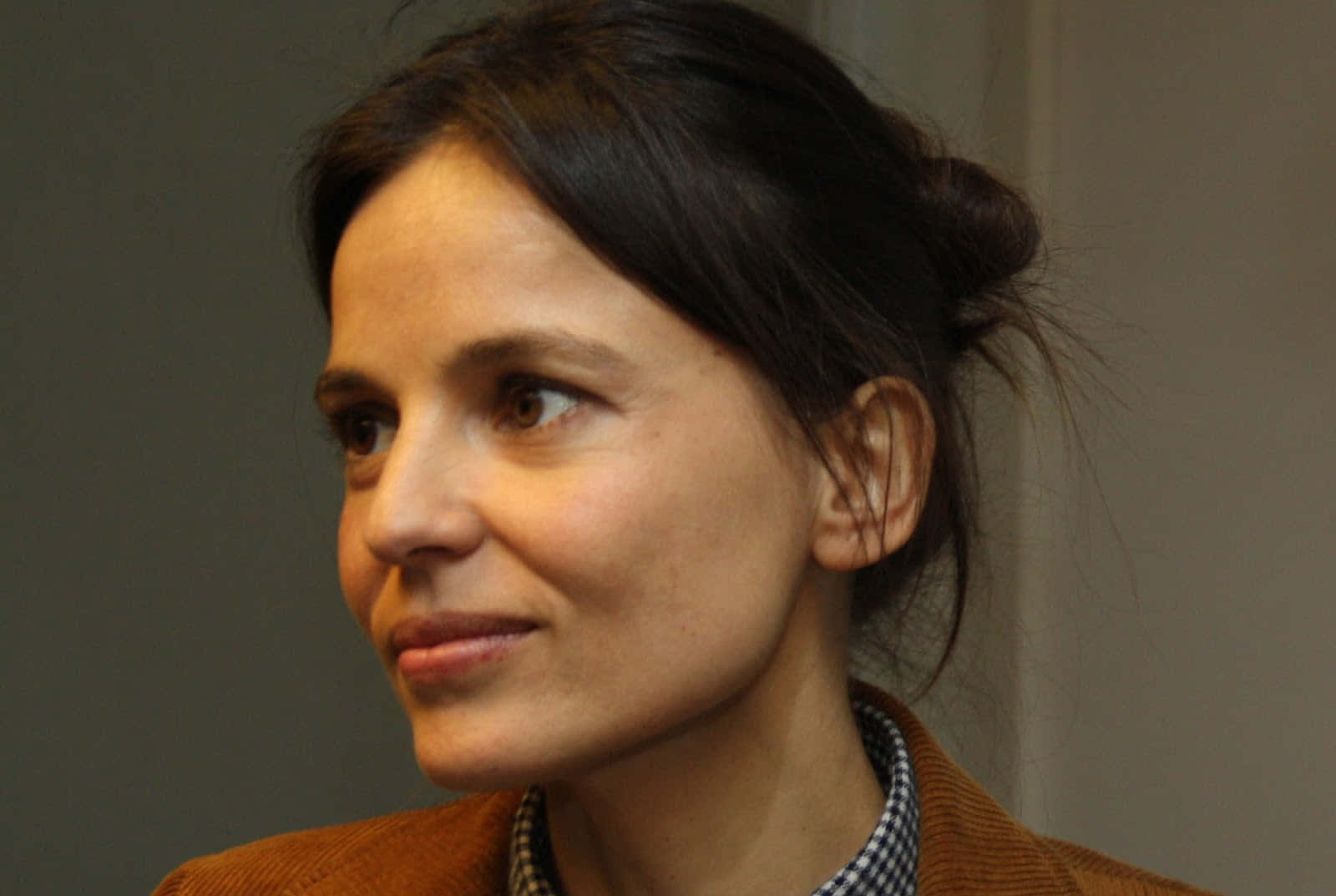 Elena Anaya, dark hair, bun, HD Desktop Wallpaper
