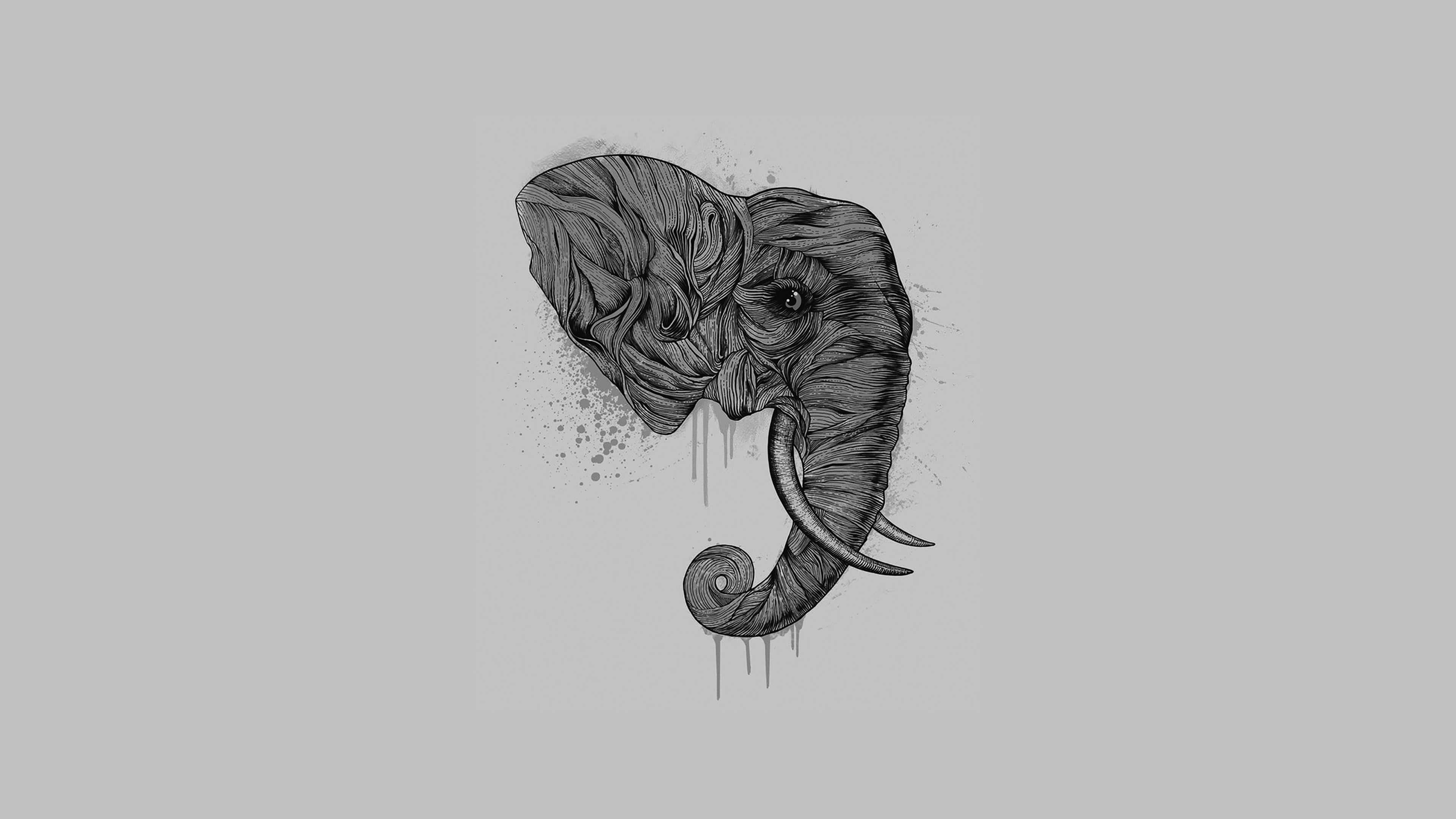 abstract elephant sketch, black and white illustration, elephant head, 4K Desktop Wallpaper