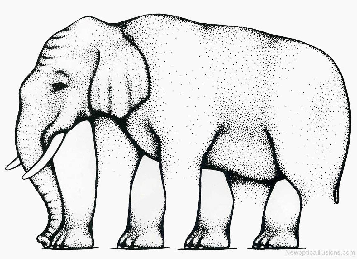 elephant, black and white dotwork illustration, standing in profile, SD Desktop Wallpaper