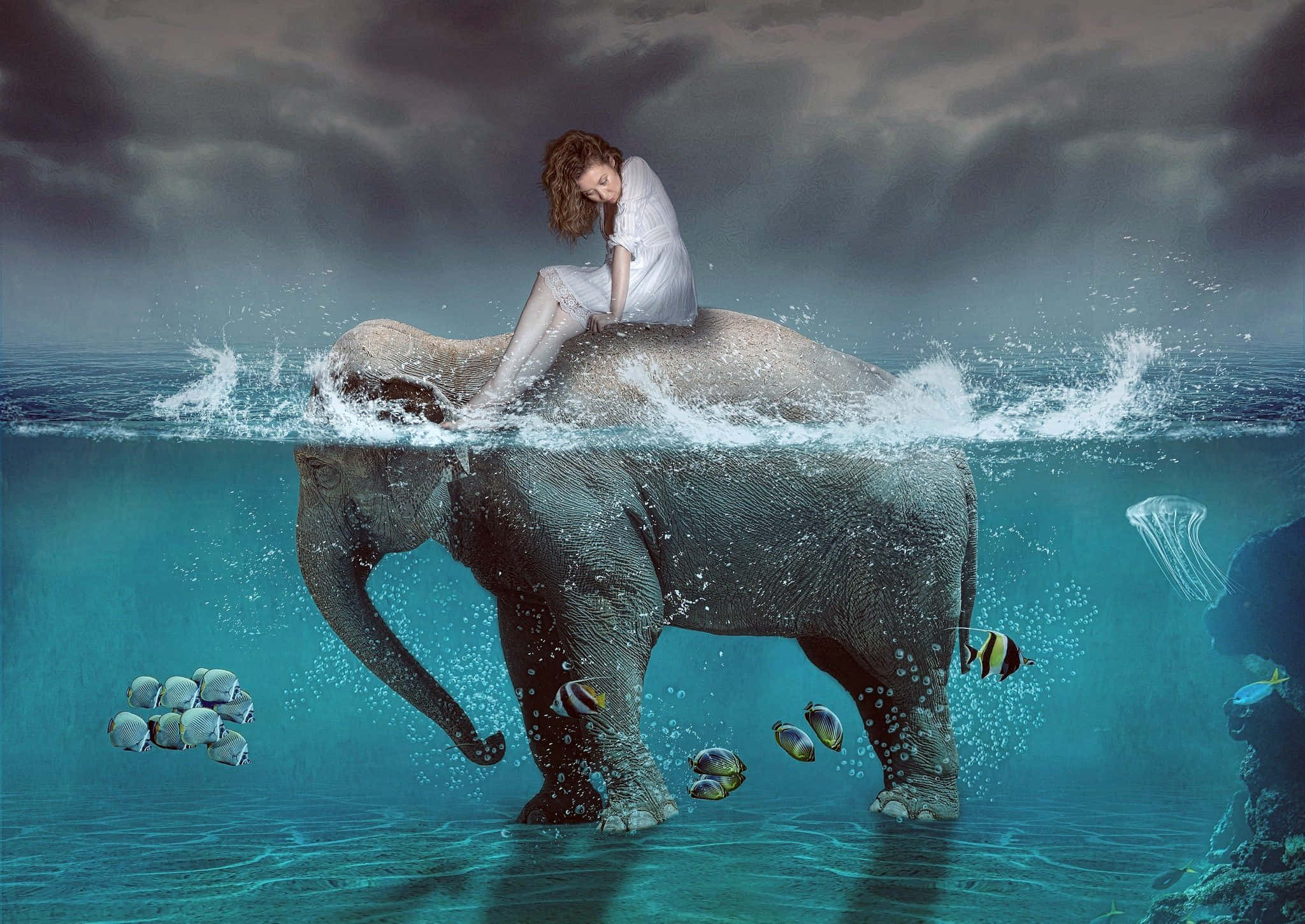 elephant, woman in white, turquoise water, Full HD Desktop Wallpaper