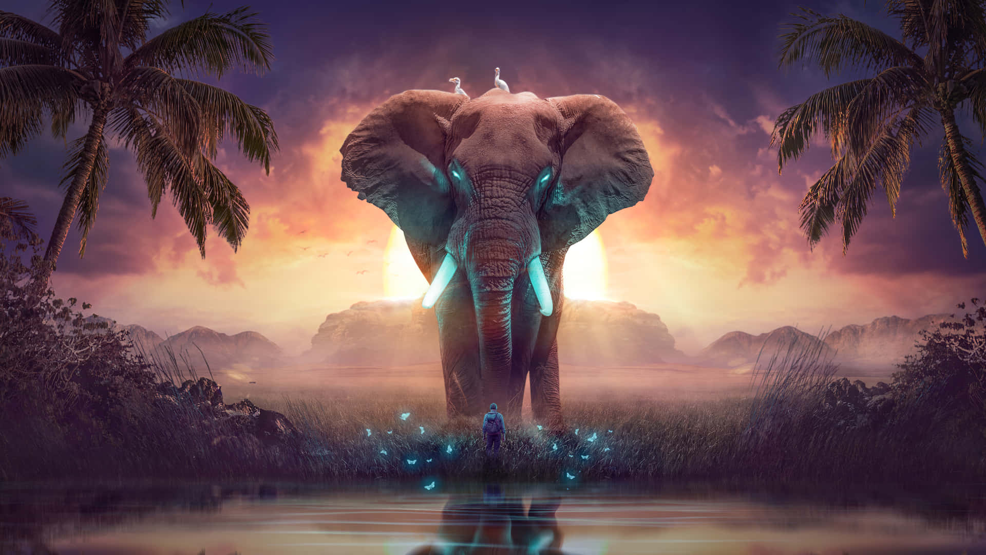 elephant laptop, tropical swamp, sunset, Full HD Desktop Wallpaper