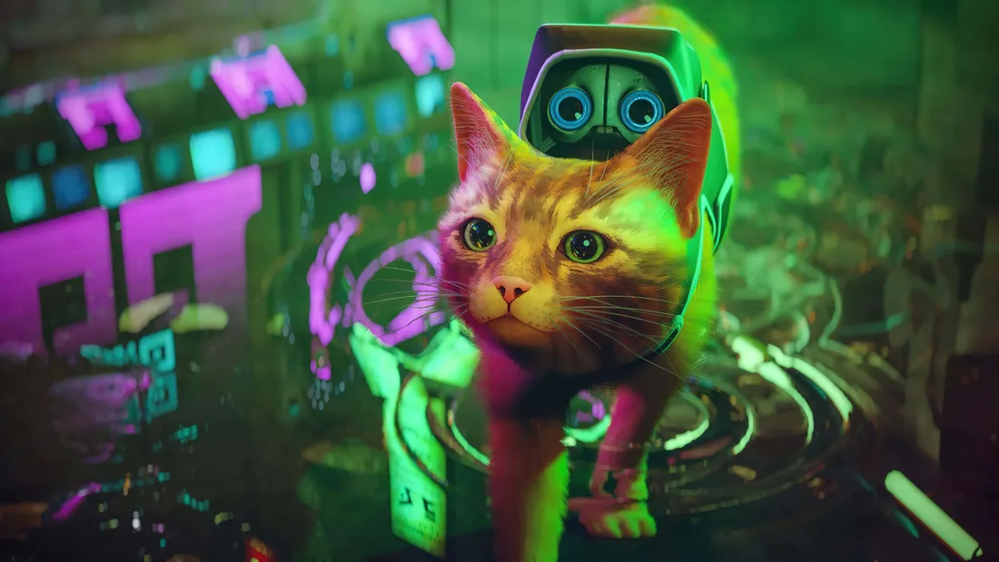 Elf Cat