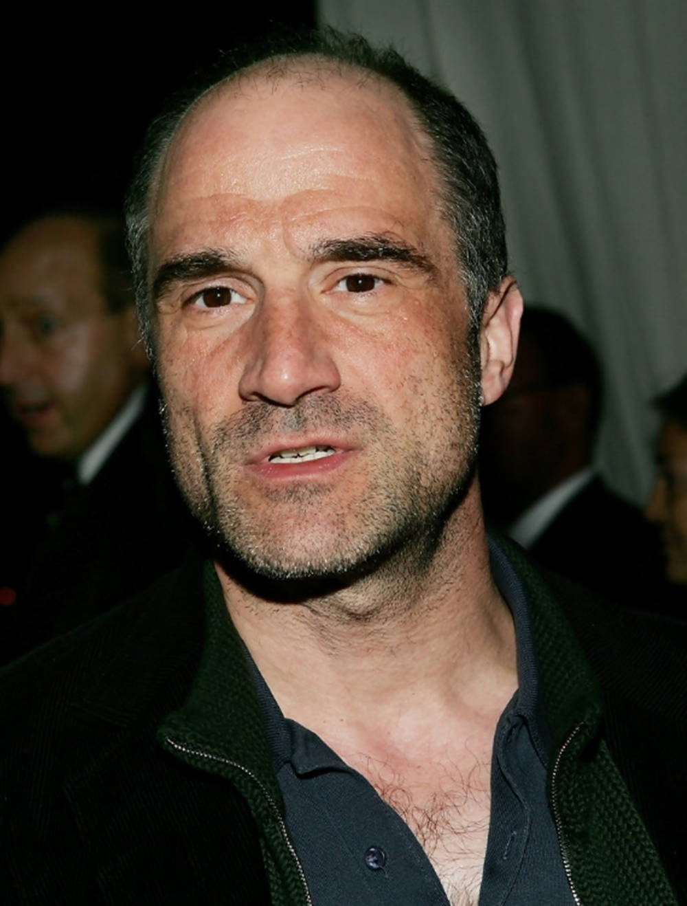 Elias Koteas, graying hair, stubble, HD Phone Wallpaper