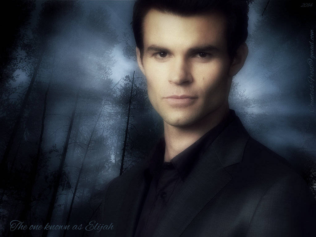 Elijah Mikaelson, black suit, misty dark forest, SD Desktop Wallpaper