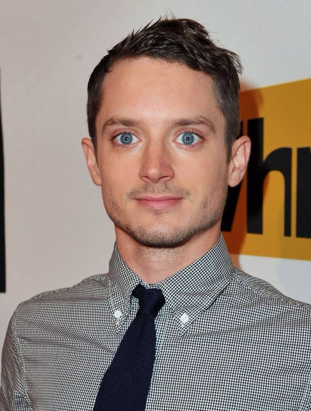 Elijah Wood, button down long sleeve, necktie, HD Phone Wallpaper