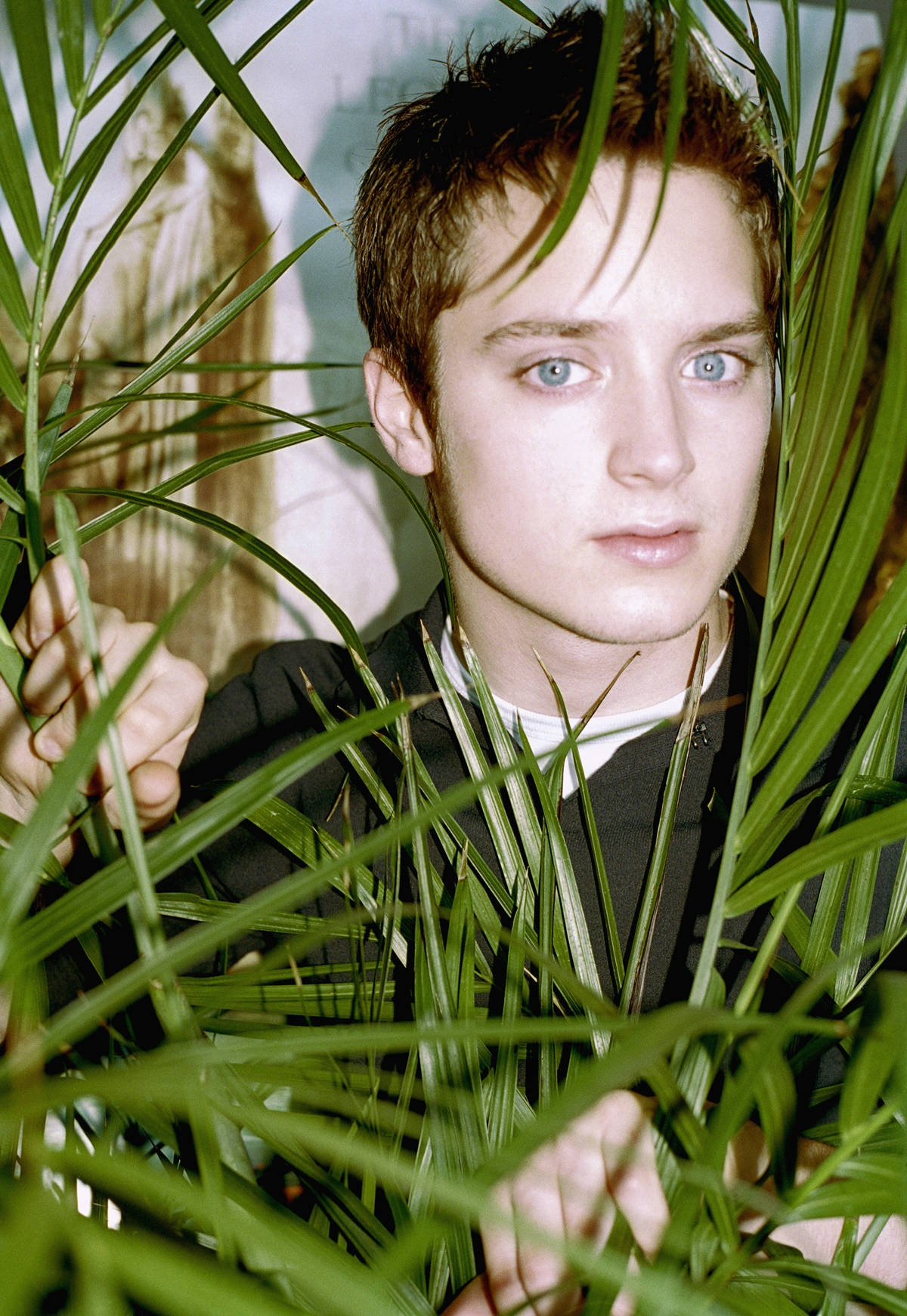 Elijah Wood, palm fronds, vibrant green, HD Phone Wallpaper
