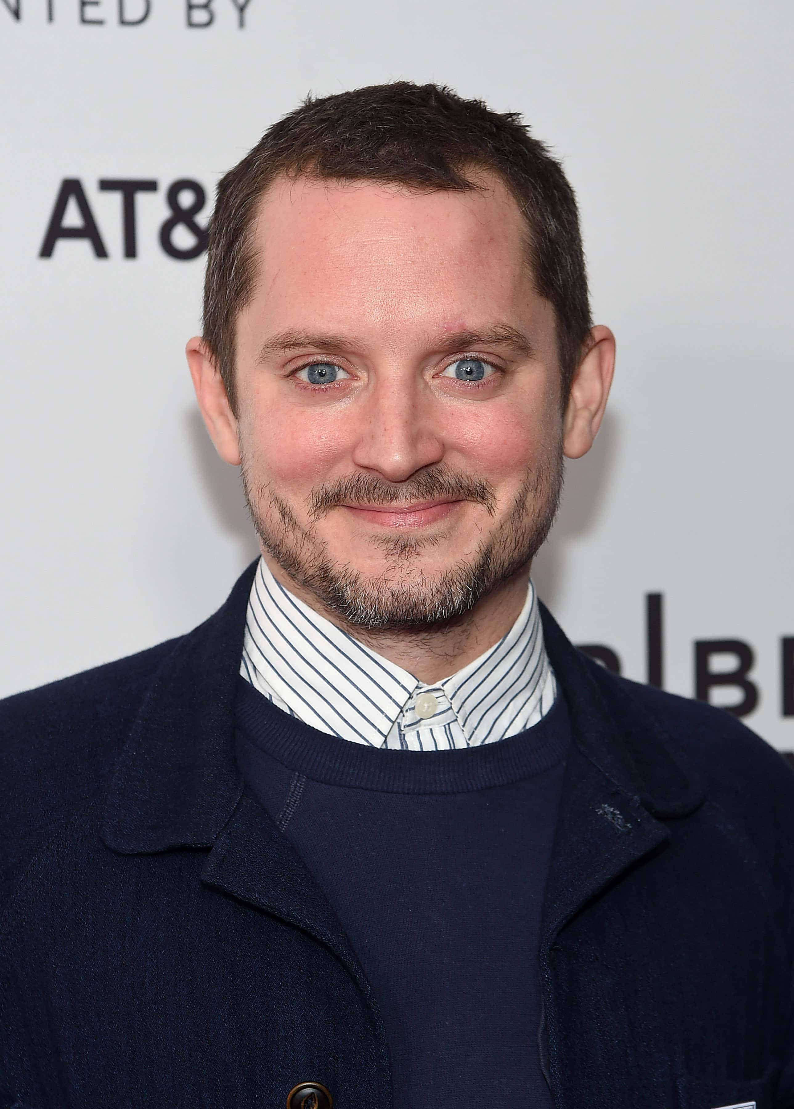 Elijah Wood, blue eyes, beard, 2K Phone Wallpaper