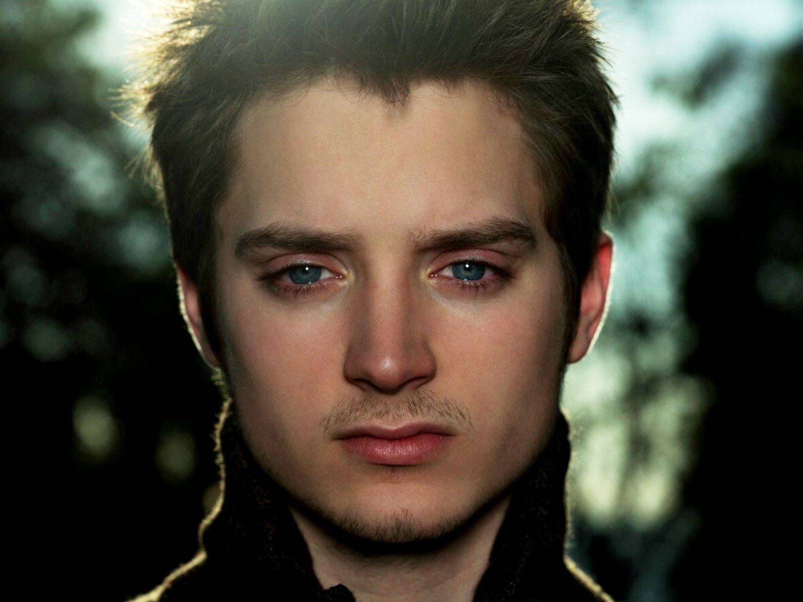 Elijah Wood, blue eyes, tousled hair, HD Desktop Wallpaper