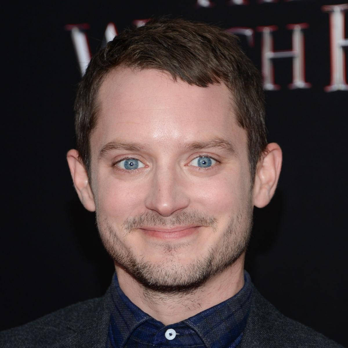 Elijah Wood, blue eyes, short brown hair, SD Desktop Wallpaper