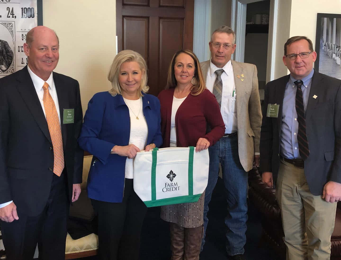 Elizabeth Cheney, Farm Credit, tote bag, HD Desktop Wallpaper