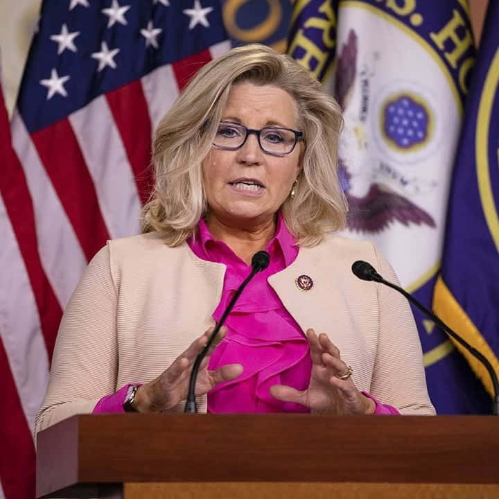 Elizabeth Cheney, press room, podium, SD Desktop Wallpaper
