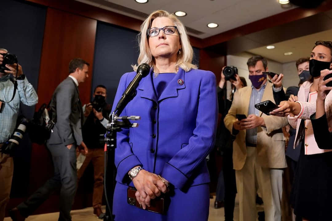 Elizabeth Cheney, bold blue suit, microphone, SD Desktop Wallpaper