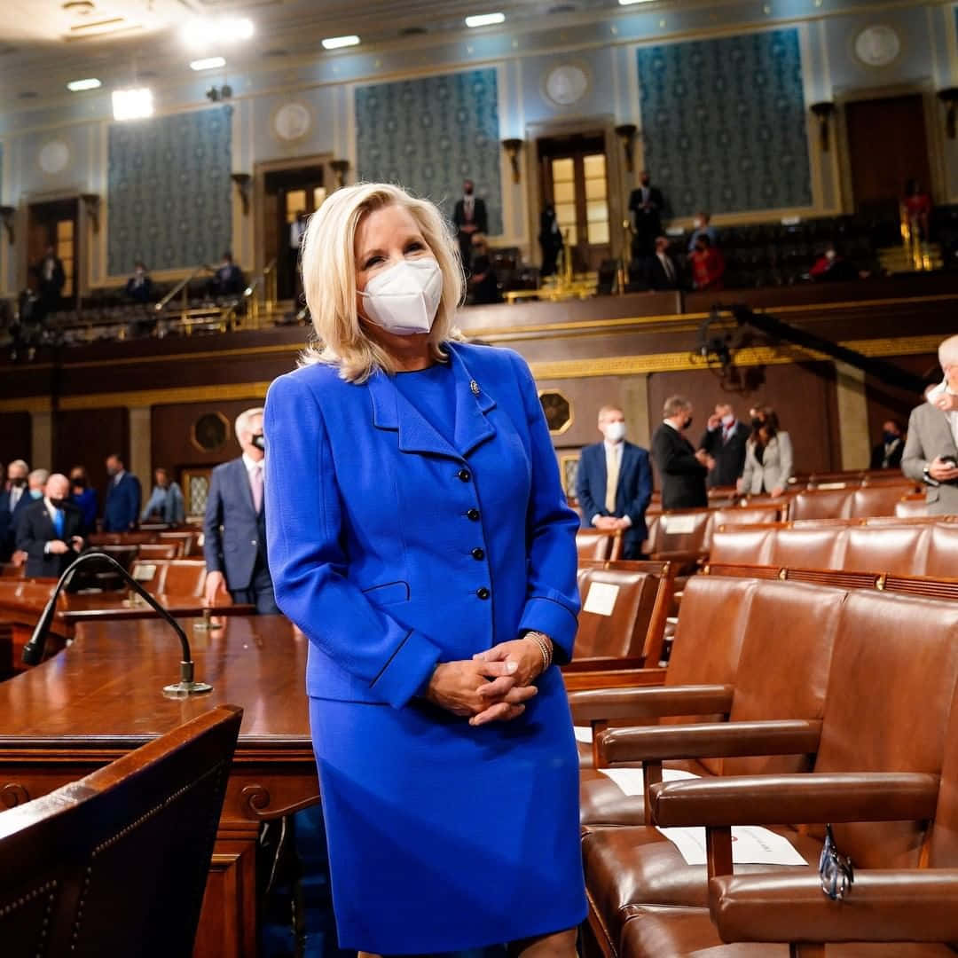 Elizabeth Cheney, bright blue suit, white face mask, SD Desktop Wallpaper