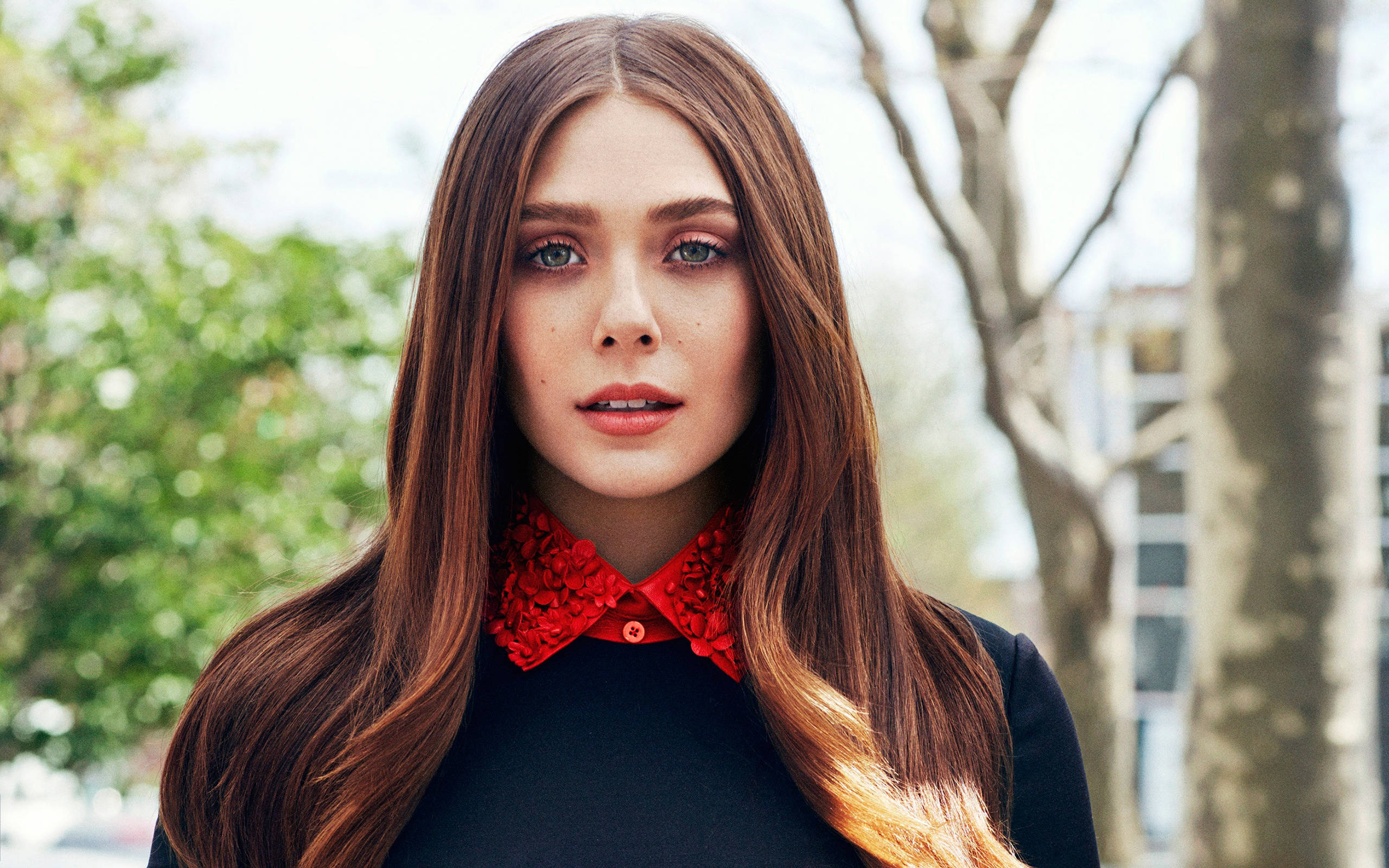 Elizabeth Olsen, brunette, long brown hair, 2K Desktop Wallpaper