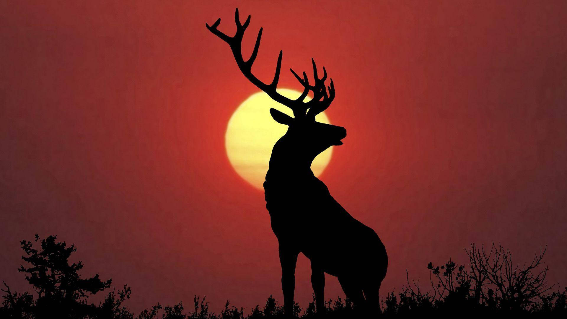 Elk, Red Sky, fiery red sunset, Full HD Desktop Wallpaper