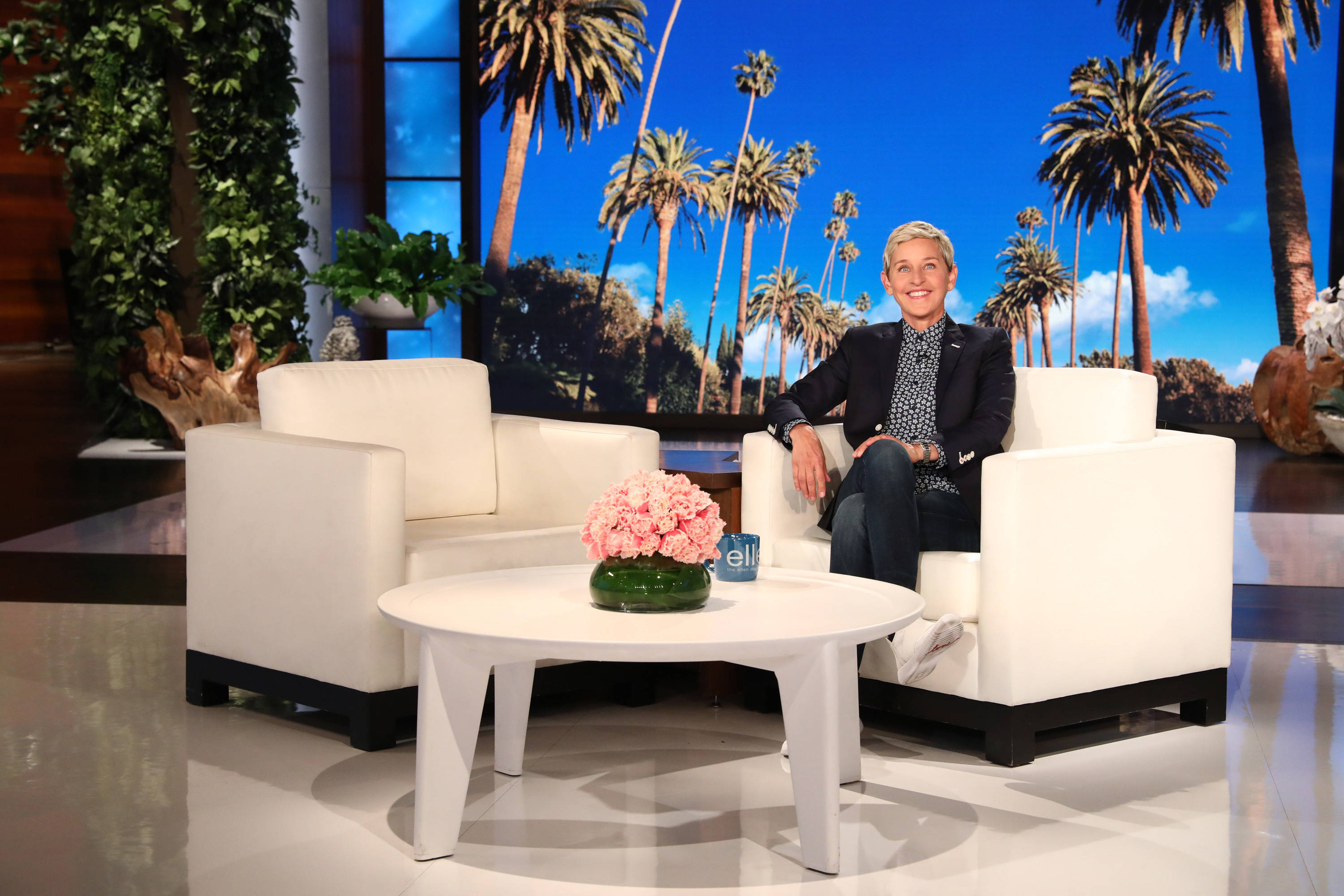 Ellen Degeneres, white armchair, talk show set, 2K Desktop Wallpaper